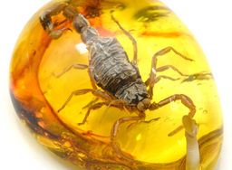 Кулон из янтаря искусственного капля 43*55мм Скорпион, цв.коньячный