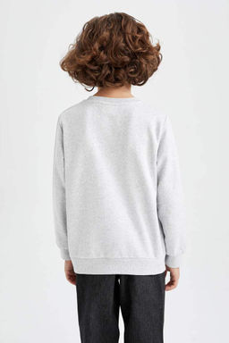 Толстый базовый свитшот для мальчиков с круглым вырезом - Defacto фото 5