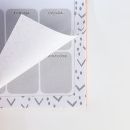 Подарочный набор, ежедневник А5, 80 листов и планер, 50 л. Самой нежной