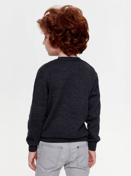 ESLI Джемпер для мальчика 20C-126СП графит