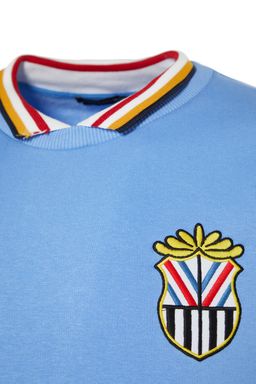 Синяя мужская рубашка стандартного кроя с воротником и аппликацией, семейная комбинация, мягкая пушистая толстовка TMNAW23SW00160