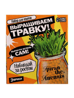 Набор для опытов «Выращиваем травку», своими руками, оранжевый