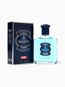 Туалетная вода мужская Brandy De Bleu, 100 мл