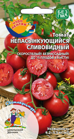 Томат НЕПАСЫНКУЮЩИЙСЯ СЛИВОВИДНЫЙ  До 15 плодов в кисти! Скороспелый! Безрассадный!