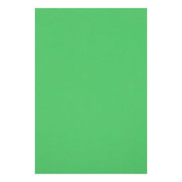 Картон цветной двусторонний А4, тонированный в массе, 10 листов, 180 г/м2, зелёный - Calligrata фото 2