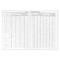 Классный журнал 1-4 класс арт. 5191 - Феникс+ фото 8