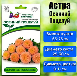 3283P Астра китайская ОСЕННИЙ ПОЦЕЛУЙ 5шт