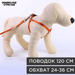 Комплект Чертовски хорош, шлейка 24-36 см, поводок 120х1 см