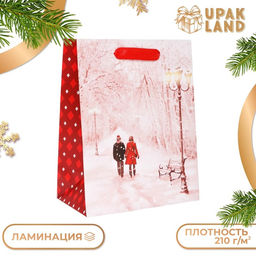 Пакет подарочный новогодний ламинированный Парочка,18?23?10 см