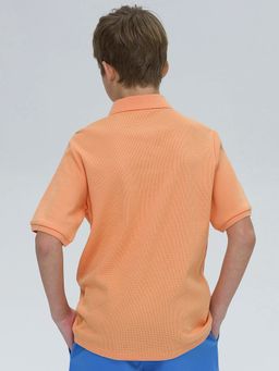 Pelican BFTP4321/1 футболка для мальчиков  фото 2