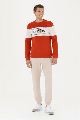 Мужской свитшот с плиткой Неожиданная скидка в корзине - U.s. polo assn фото 4
