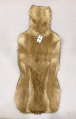 Мех дорогих пород (волк)