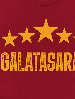 Bisiklet Yaka Galatasaray Bask?l? Erkek ?ocuk Ti??rt