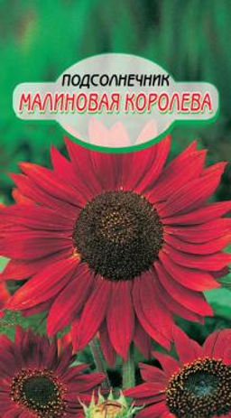 Малиновая королева подсолнечник 0,5гр (ссс)