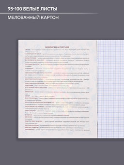 Цена за 5 шт. Тетрадь предметная, 48 листов в клетку, Calligrata TOP, «Неоновые звери. География»