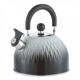 Чайник из нержавеющей стали Backman 2,5л, нержавеющая сталь, индукционное дно, внешнее антипригарное цветное покрытие градиент, подвижная комбинированная ручка, Darren (Китай) Подходит для всех видов плит, включая индукционную!