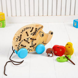 Шнуровка «Ёжик» 7 деталей