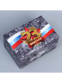 Цена за 2 шт. Коробка подарочная сборная, упаковка, «23 февраля», 22×15×10 см