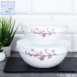 Форма для холодца с крышкой 2 предмета / SW2A (7196) /уп 18/ Сакура/722123