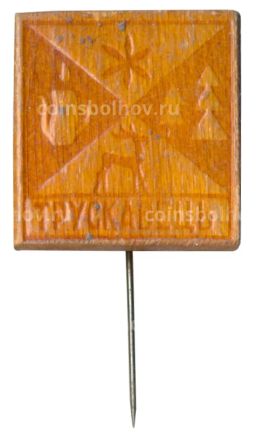 Значок Трускавец