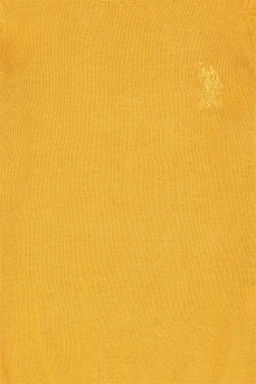 U. S. Polo Assn Базовый свитер горчичного цвета для мальчика - U.s. polo assn фото 6