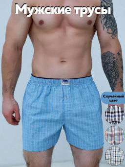 Мужские трусы семейные Berrak 1070  фото 3