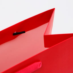 Пакет подарочный ламинированный Фуксия, MS 18?23?10 см - UPAK LAND фото 4