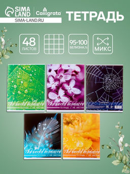 Цена за 10 шт. Тетрадь 48 листов в клетку, Calligrata Микромир, МИКС