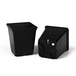 Цена за 36 шт. Горшок для рассады, 250 мл, 7×7×8 см, пластик, чёрный