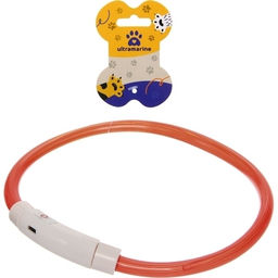 Ошейник неоновый для собак средних пород "Защита Бро", цвет красный, зарядка от USB, шнур в комплекте, размер M - d 50см (пакет с подвесом)