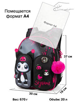 Рюкзак SkyName set-R9-16 + мешок для обуви, папка, пенал, кошелек, бейдж, канц. наб, брелок , значки  фото 13