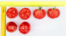 Томат Малиновая Империя - Партнер фото 6
