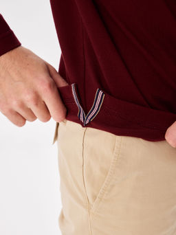 Джемпер мужской с воротником поло GREG G155-PO124T-SA2081 (бордо)_V  фото 3