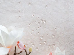 Скатерть Мкр150-2218/110701П Диам150