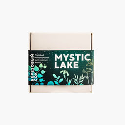 Твёрдый кондиционер Березовый сок для жирных волос 50г