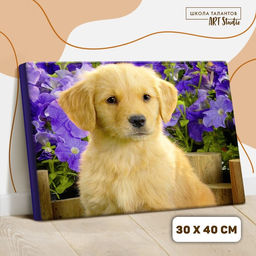 Картина по номерам на холсте с подрамником Щенок лабрадора, 40х30 см