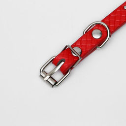 Ошейник рифленый с 2 рядами клепок, 33 х 1,2 см, ОШ 23-29, красный - Пижон фото 5