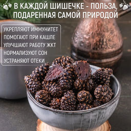 Сосновая шишка цукат 1 кг - Meal shop фото 8