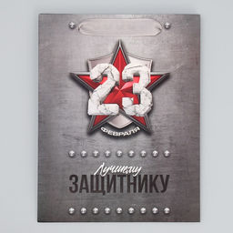 Цена за 2 шт. Пакет подарочный ламинированный, упаковка, «С 23 февраля», MS 18×23×10 см