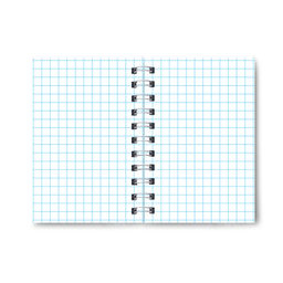 ЗК110 Светоч Записная книжка на гребне A6 120 л. 4 шт. клетка Мои правила 01182  фото 6