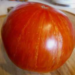 7099T Томат Алмазные ноги 10шт