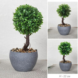 Цветочная композиция Зелень самшит 22 см / 9090-11 /уп 12/72/ - Галеонтрейд фото 5