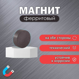 Цена за 250 шт. Магнит технический ферритовый (магнитит на обе стороны), 0.8×0.3 см