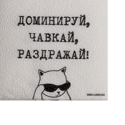 Салфетки бумажные однослойные «Доминируй, чавкай, раздражай», 24×24 см, набор 20 шт.
