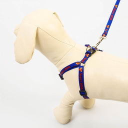 Комплект Super Dog, шлейка 26-39 см, поводок 120х1 см - Пушистое счастье фото 7