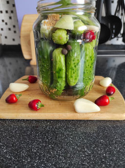 Огурец НАДЁЖНЫЙ Название говорит само за себя! Раннеспелый! С гарантированной урожайностью! Не болеет! - Уральский дачник фото 4