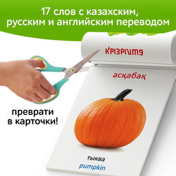 Книга по методике Г. Домана Овощи, на казахском языке - Буква-Ленд фото 4