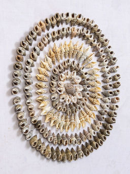 Панно «Композиция из ракушек», 45×3×45 см