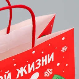 Пакет подарочный крафтовый Что-то на богатом, 22 22 11 см - Дарите счастье фото 5