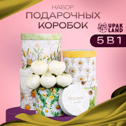 Набор шляпных коробок для цветов 5 в 1, упаковка подарочная, Ромашки, 16?14 см - 22?19.5 см
